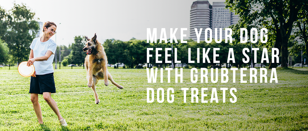 Delicious and Nutritious Salmon Treats for Your Furry Friend