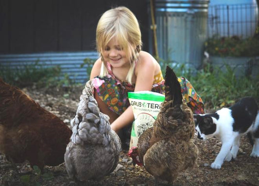 RAISING CHICKENS 101: Beginner’s Guide