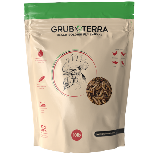 GrubTerra Dried Black Soldier Fly Larvae for Chicken, Ducks, Wild Birds and Pets