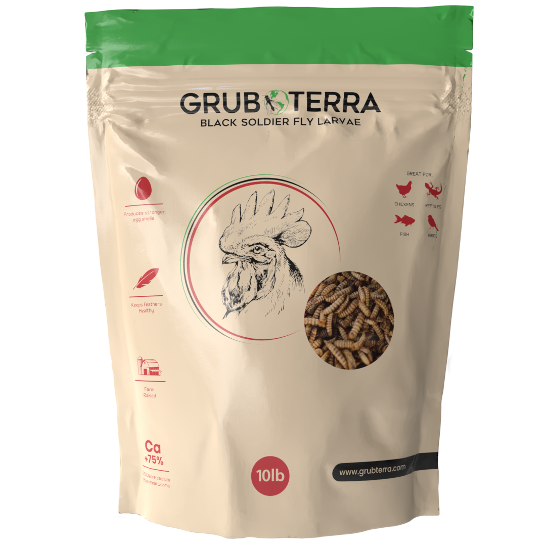 GrubTerra Dried Black Soldier Fly Larvae 10lb (50lb)