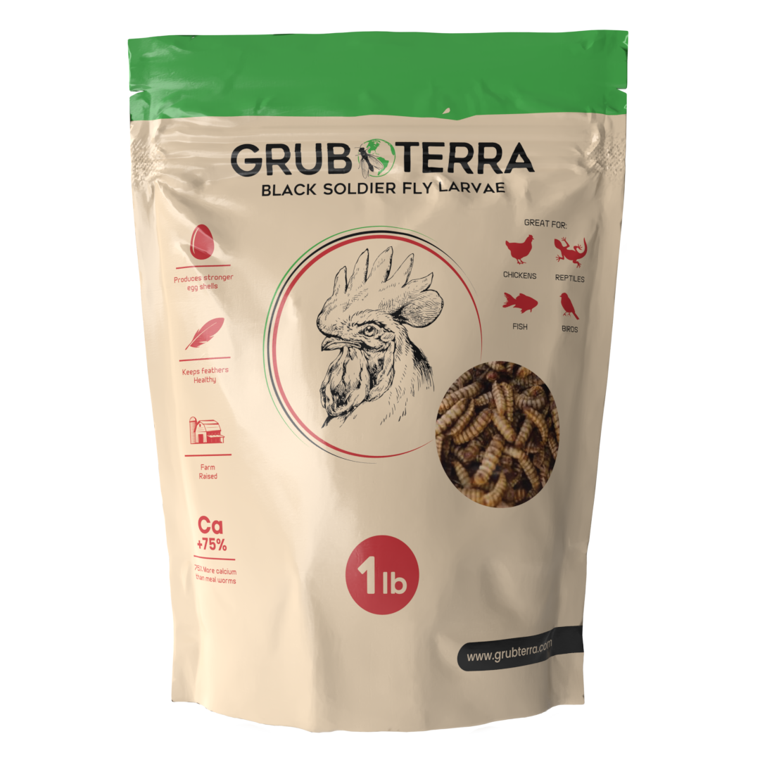 GrubTerra Dried Black Soldier Fly Larvae 10lb (50lb)