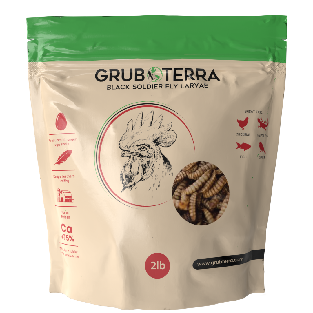GrubTerra Dried Black Soldier Fly Larvae 20lb