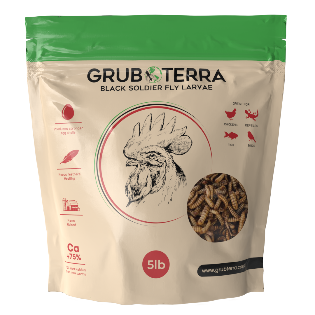 GrubTerra Dried Black Soldier Fly Larvae 10lb