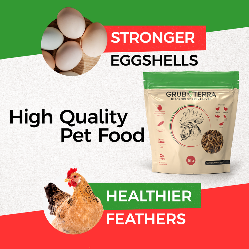 GrubTerra Dried Black Soldier Fly Larvae - The Safest Treat For Your Flock