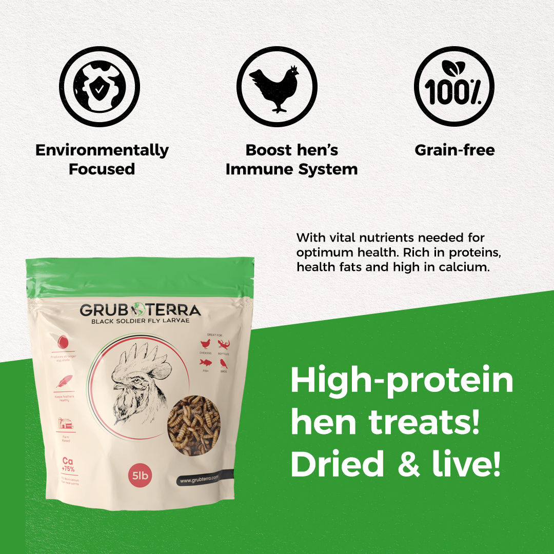 GrubTerra Dried Larvae Sample