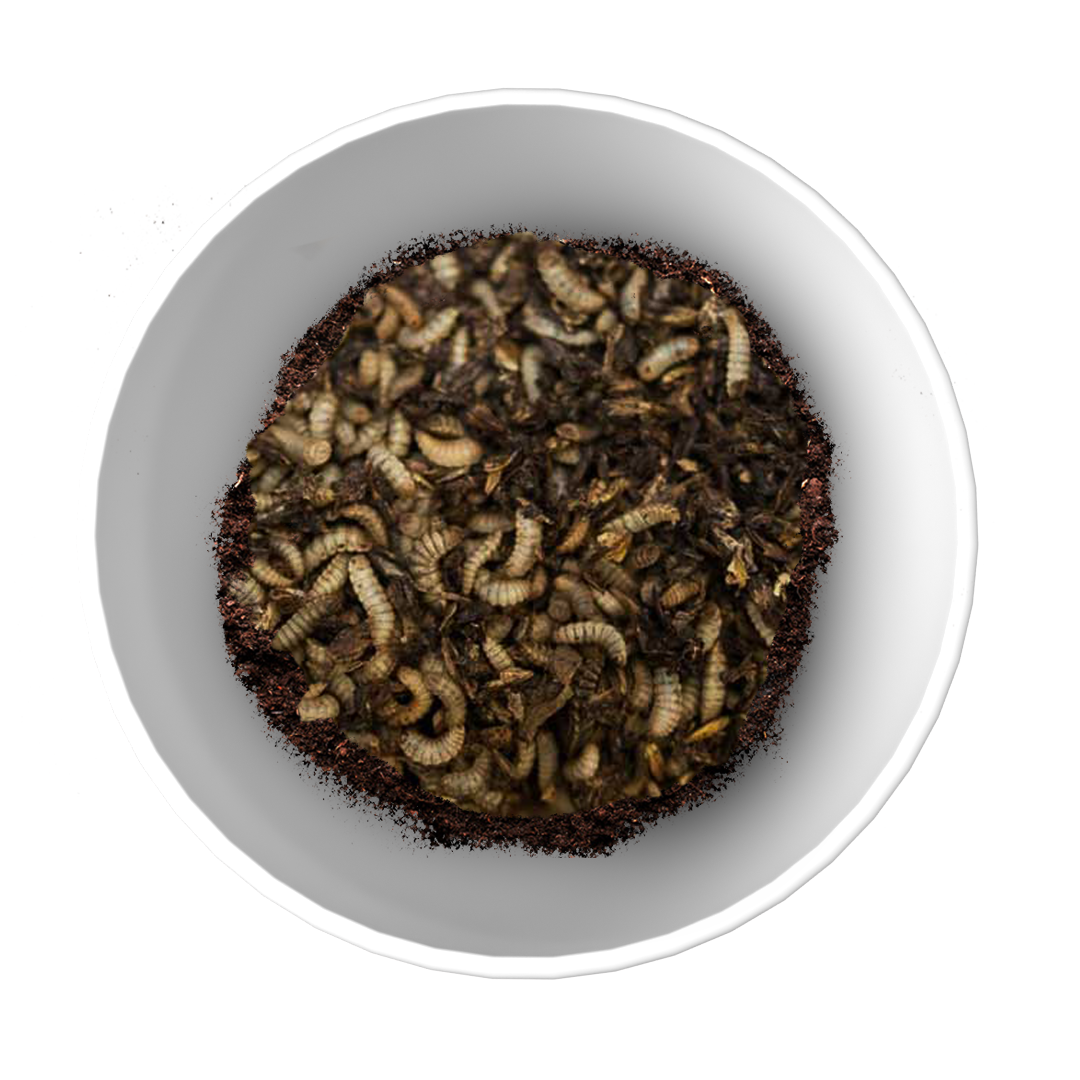 GrubTerra Fresh Black Soldier Fly Larvae for Reptiles