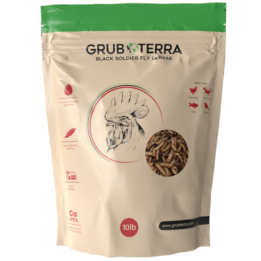 GrubTerra Dried Black Soldier Fly Larvae 20lb !!! REPLO PAGE BUILD