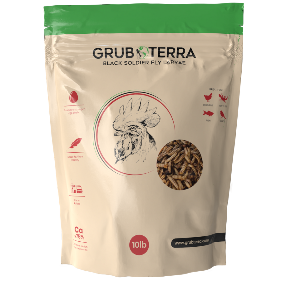 GrubTerra dried black soldier fly larvae 10 lb bag