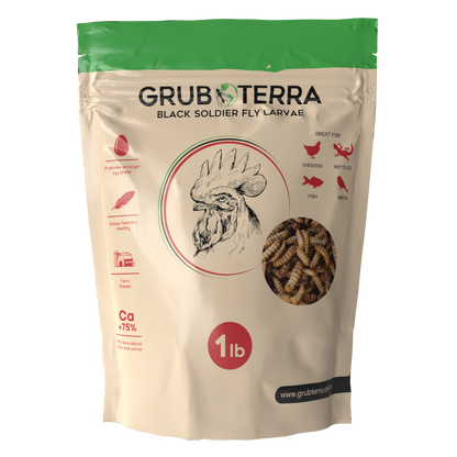 GrubTerra Dried Black Soldier Fly Larvae