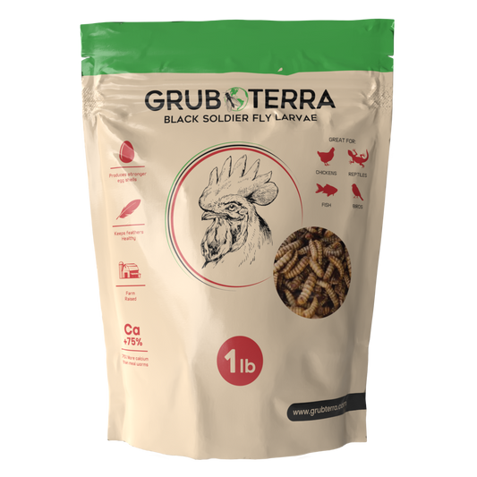 GrubTerra Dried Larvae Sample