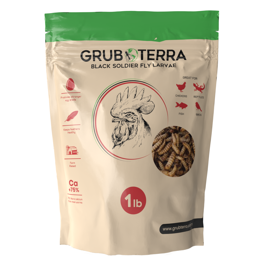 GrubTerra Dried Larvae Sample