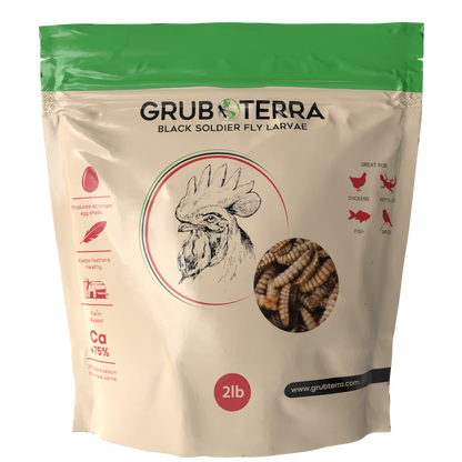 GrubTerra Dried Black Soldier Fly Larvae for Chicken, Ducks, Wild Birds and Pets