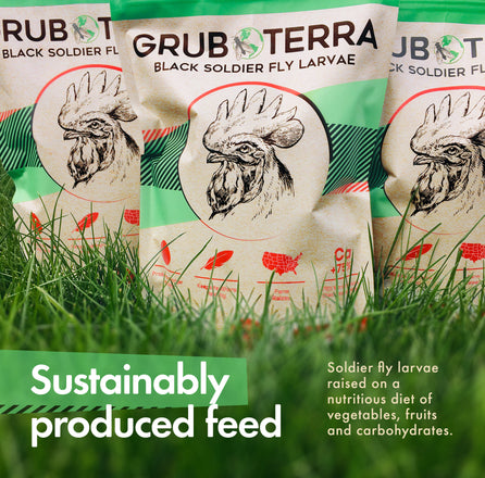 GrubTerra Healthy And Fresh Dried Treats