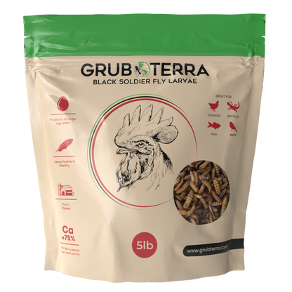 GrubTerra Dried Black Soldier Fly Larvae for Chicken, Ducks, Wild Birds and Pets