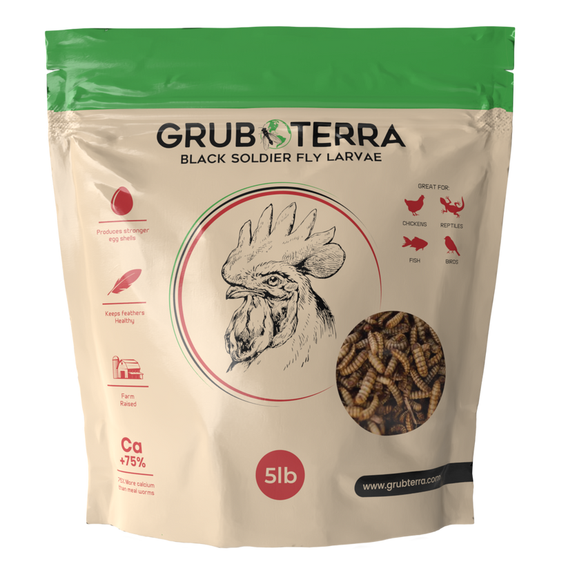 GrubTerra Dried Black Soldier Fly Larvae - The Safest Treat For Your Flock