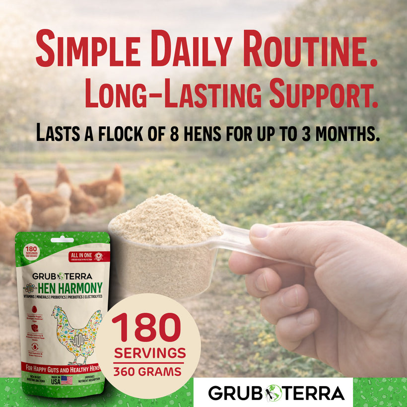 Grub & Terra Hen Harmony product with text about a simple daily routine and long-lasting support for hens.