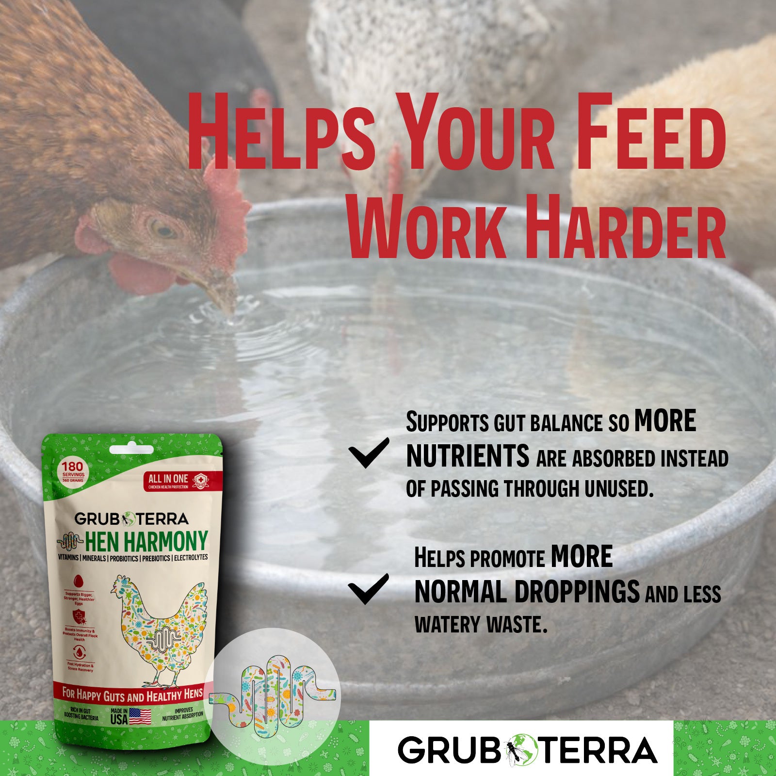 Grub Terra Hen Harmony product with chickens around a water bowl, emphasizing its benefits for poultry feed.