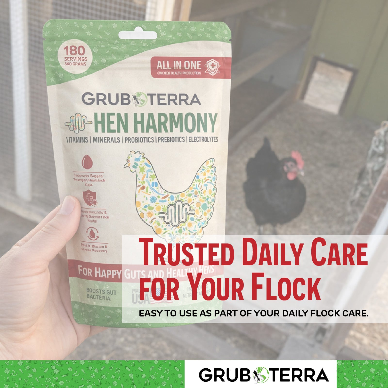GrubTerra Hen Harmony package held by a hand with a chicken in the background