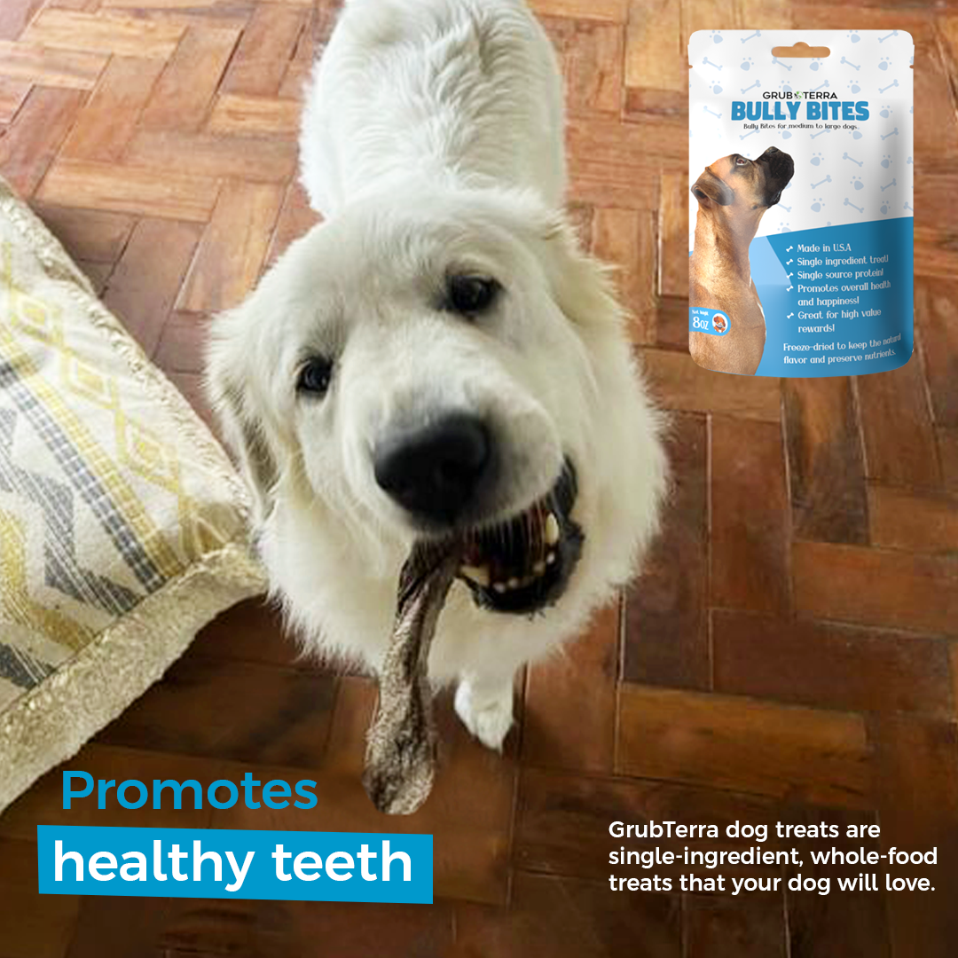 Bully bites dog treats clearance