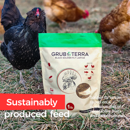 GrubTerra Dried Black Soldier Fly Larvae