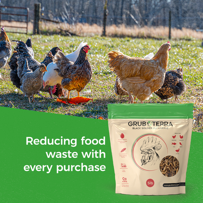 GrubTerra Dried Black Soldier Fly Larvae for Chicken, Ducks, Wild Birds and Pets