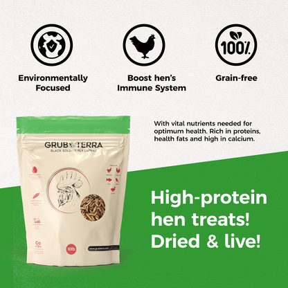 GrubTerra Dried Black Soldier Fly Larvae for Chicken, Ducks, Wild Birds and Pets