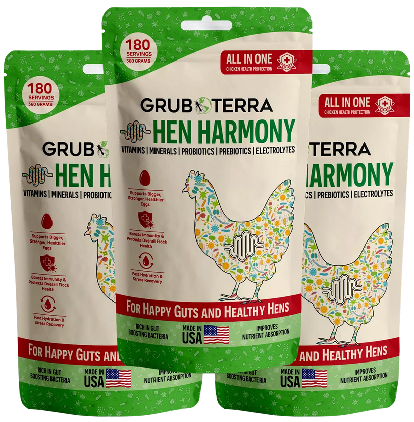 Hen Harmony