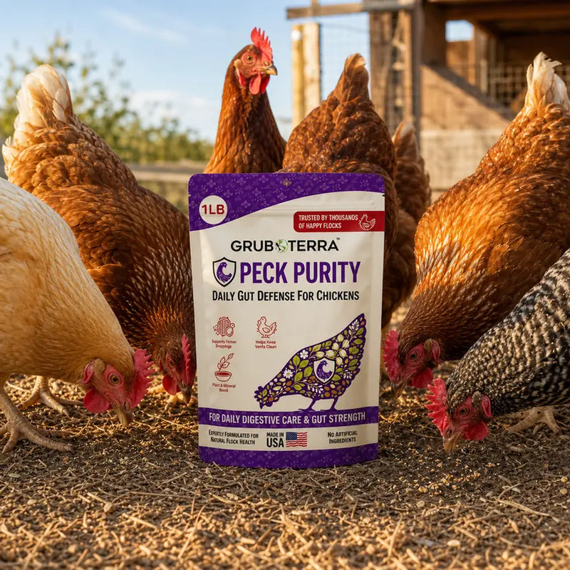 <h2>Real Chicken Keepers. <em>Real Results.</em></h2>