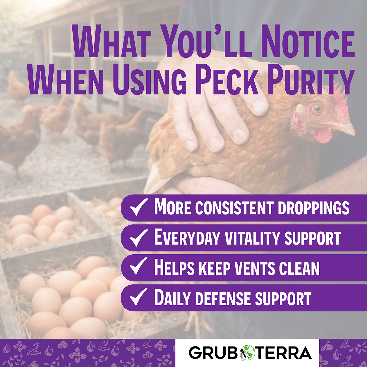 Peck Purity Daily Digestive Defense for Flock Strength